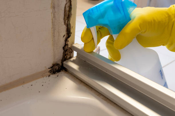 Best Crawl Space Mold Removal  in Toona, AL